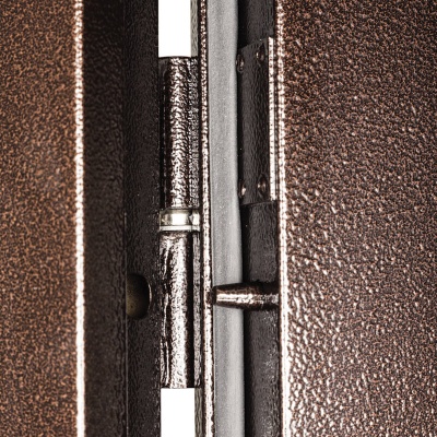 Купить Входная металлическая дверь МАСТЕР ПЛЮС 2102х986/1056х76 в Сочи. В наличии и под заказ в каталоге